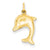 14k Gold Hollow Dolphin Charm hide-image