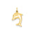 Hollow Dolphin Charm in 14k Gold