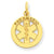 14k Gold Small Paramedic Medical Charm hide-image