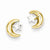 14k Yellow Gold Polished Rho Moon Star Post Ear, Jewelry Earrings