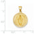 14k Gold Polished and Satin Miraculous Medal pendant